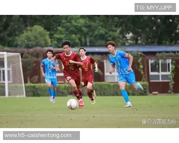 辽宁足球队员最新名单及其在赛季中的表现分析与展望